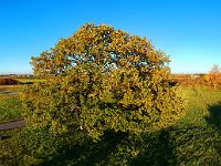 [Group 4]-DJI 0001 DJI 0009-9 images